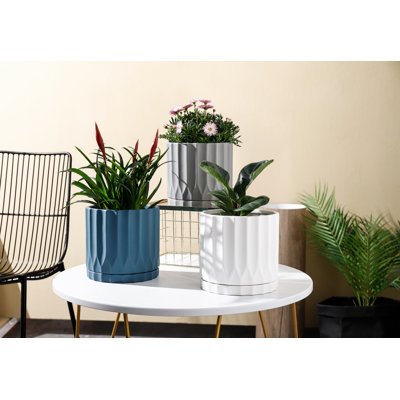 6.5 in. Chancel Planer w/ Saucer - Matte Light Grey