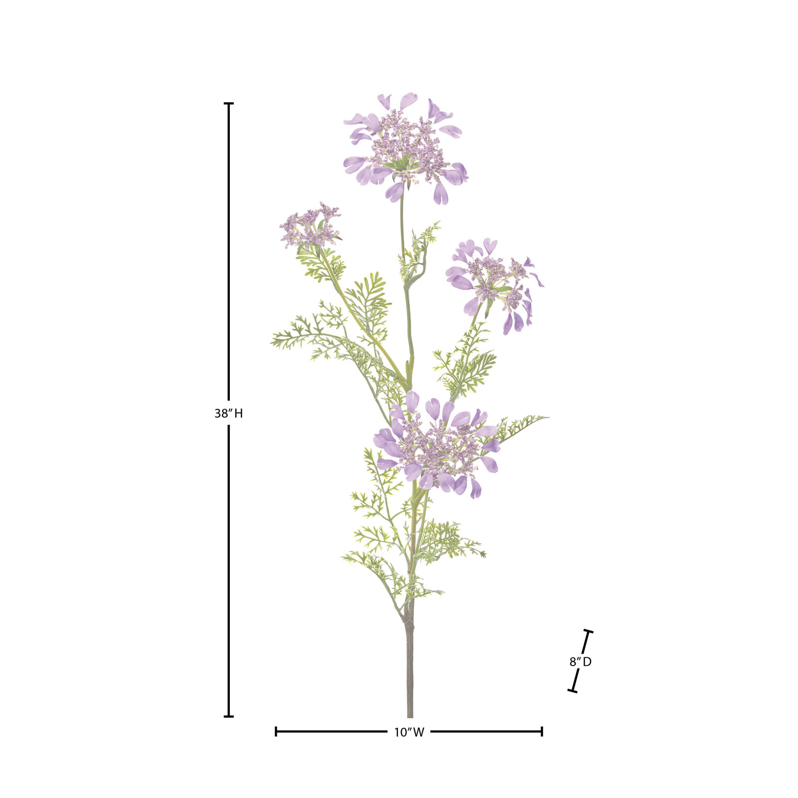 Field Yarrow Stems, Purple