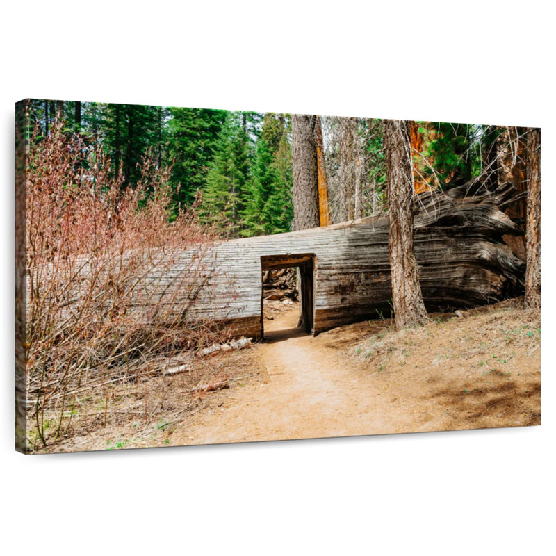 Harnek Tunnel Tree, 26" H x 39" W