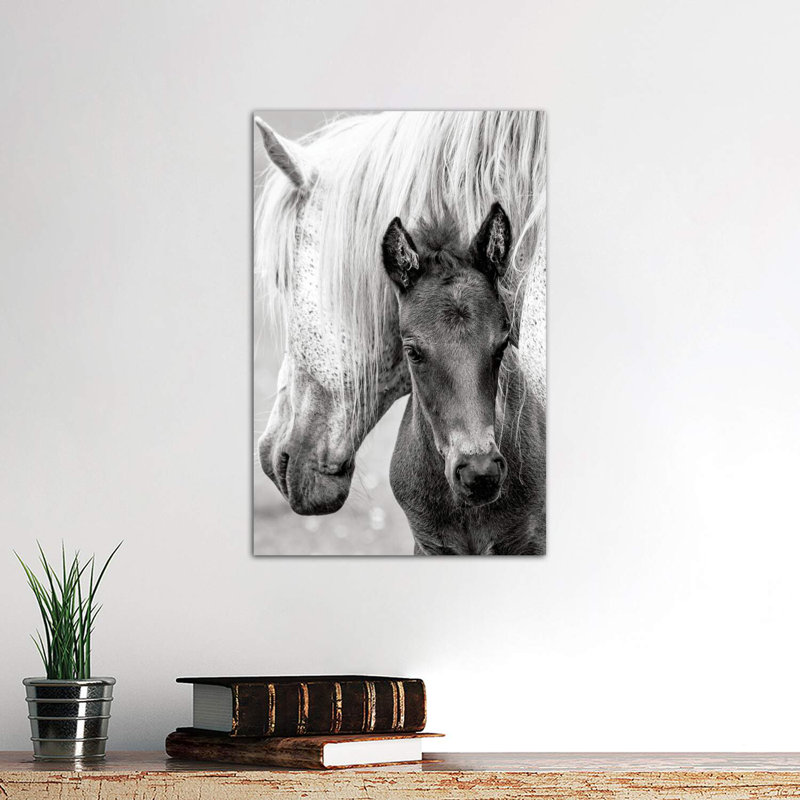 The Foal by Jacky Parker - Wrapped Canvas Print, 66.04 cm H x 45.72 cm W x 1.91 cm D