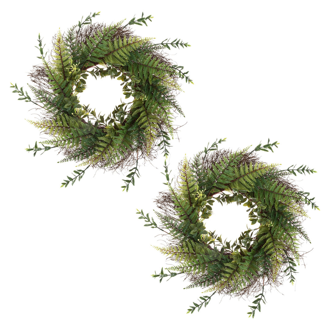 2 Wreaths for Front Door - 21in Faux Fern Wreaths with Blossoms on Grapevine Base - Indoor/Outdoor Door Decorations Hanging (Set of 2) The Holiday Aisle®