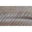 Striped Area Rug
