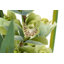110cm Faux Flowering Plant in Pot