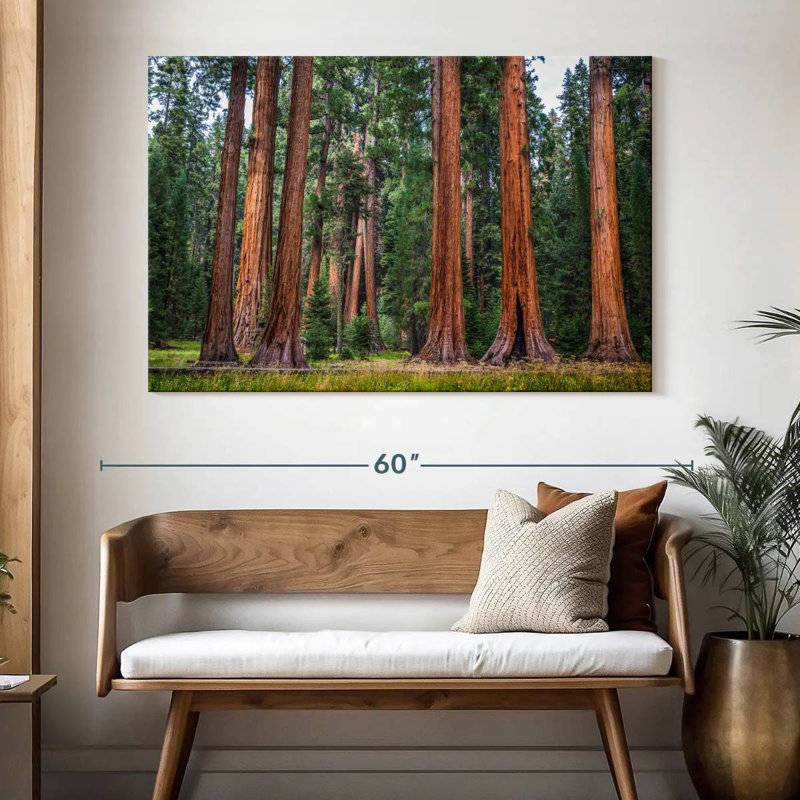 Harnek Stunning Sierra Redwoods, 34" H x 51" W