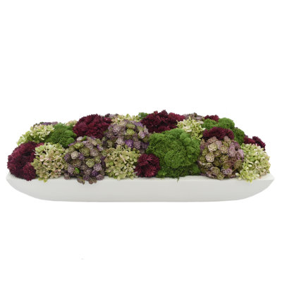 Multi Color Assorted Sedum in Planter