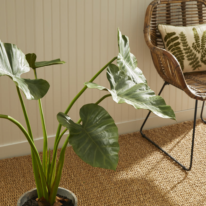Faux Elephant Ear Plant in Ceramic Pot