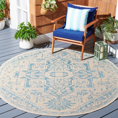 Danya Aqua/Cream Indoor/Outdoor Area Rug