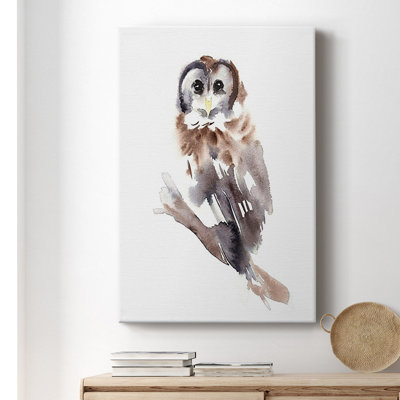 " Barred Owl Impressions II "