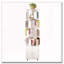 Bibliothèque rotative-1705872886