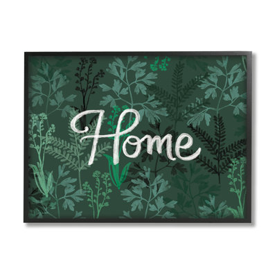 Green Botanicals - Plantes d'intérieur