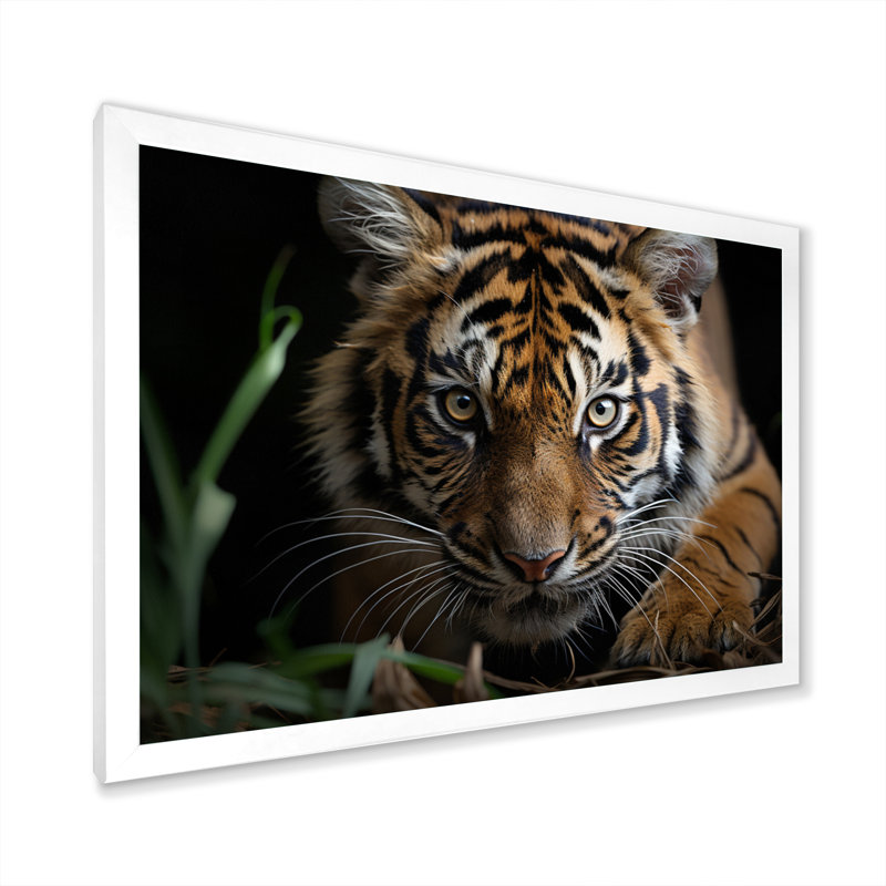 Portrait de tigre brun - art mural tigre, Cadre simple blanc, H 16 po x l 32 po x P 1 po