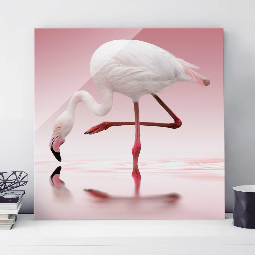 Glasbild Flamingo Tanz