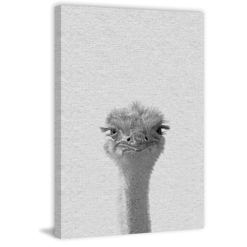 Grumpy Ostrich - Wrapped Canvas Print, 114 cm H x 76 cm W x 4 cm D