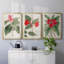 «Flora Of The Tropics I», toile encadrée de qualité supérieure - prête à être accrochée-69983261-69983262