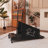 Dog Pacer Treadmill for Small to Medium Sized Dogs– Healthy Run & Walk Exercise Machine for Fit Pets