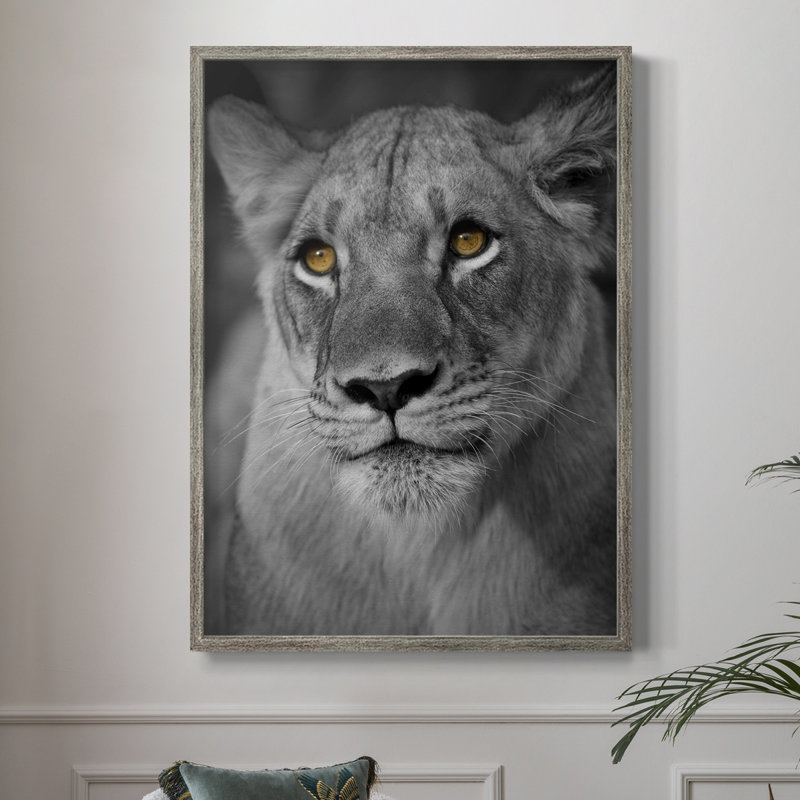 Portrait de lionne, reproduction encadrée - bois massif, H 11 po x l 9 po