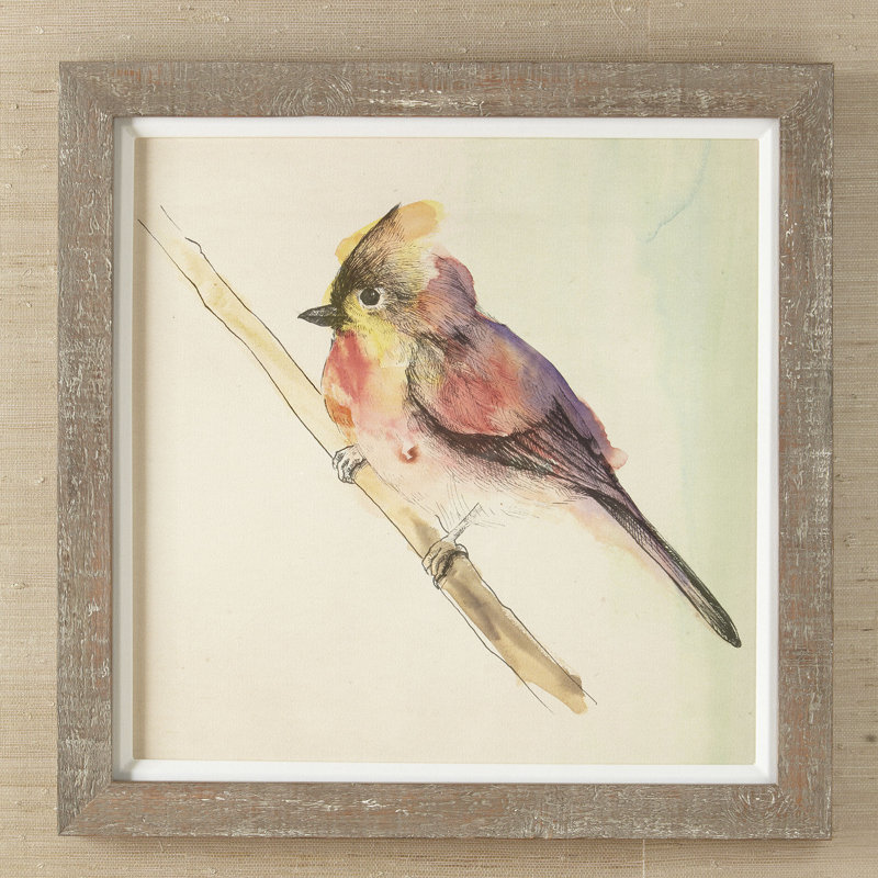 Petite Bird Framed Print Collection