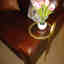 Photos des clients 4 de 5
