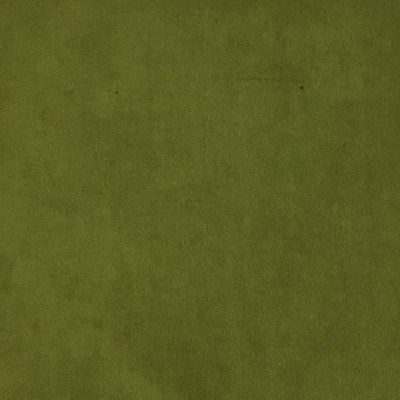 Plush-Royce Plush Plain Velvet Fabric