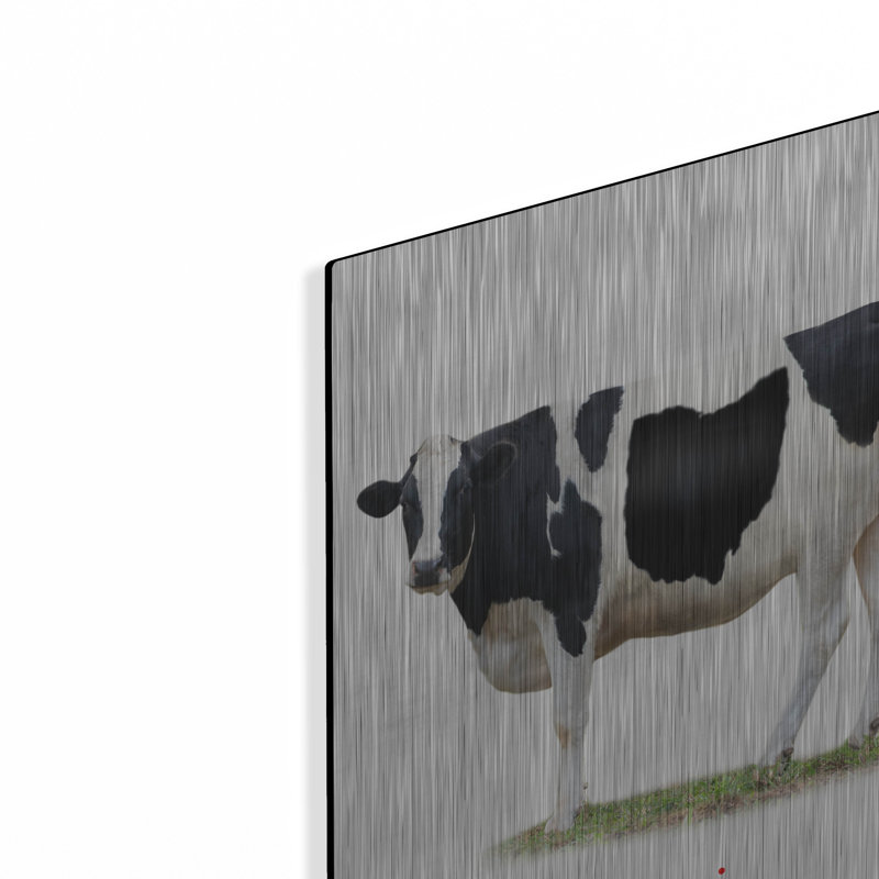  «Cow State Ohio» par John Hovenstine, art mural en métal, 16 po x 24 po, H 24 po x l 16 po