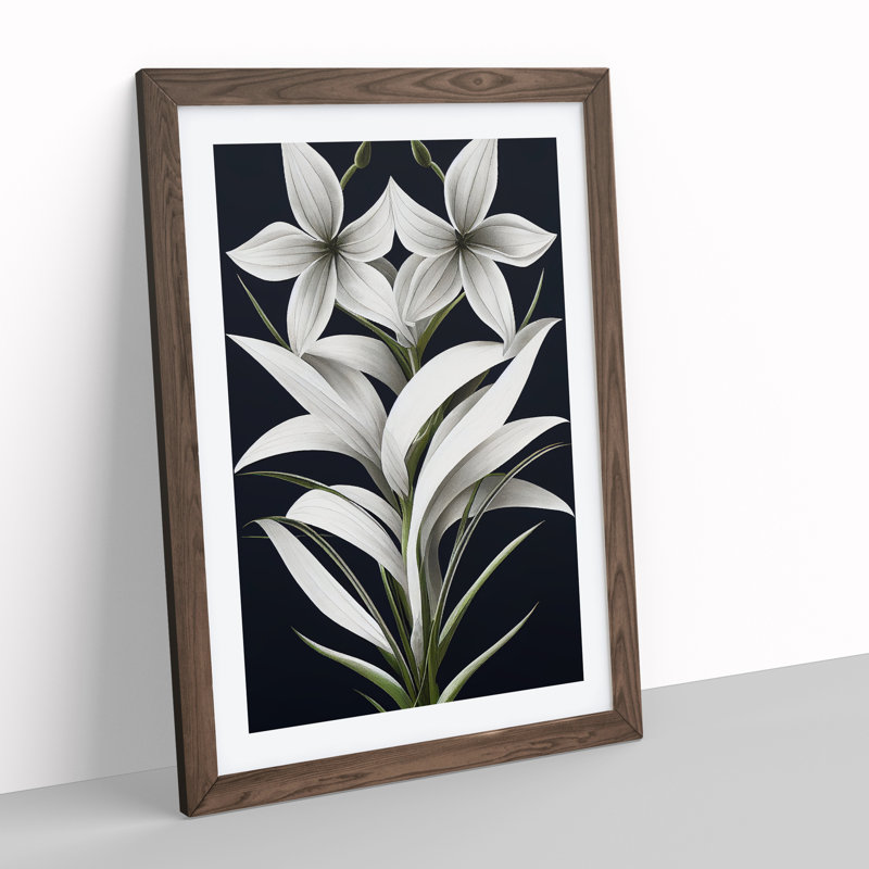 Shining Flowers - Wall Art, 48cm H x 36cm W, Walnut Framed, White