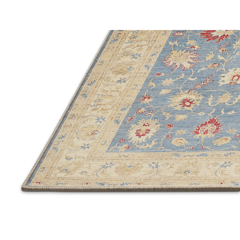 Rebeca Oriental Indoor Rug, Rectangle 5' x 7'
