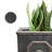 Hillevi Planter-1661493425-1661493420