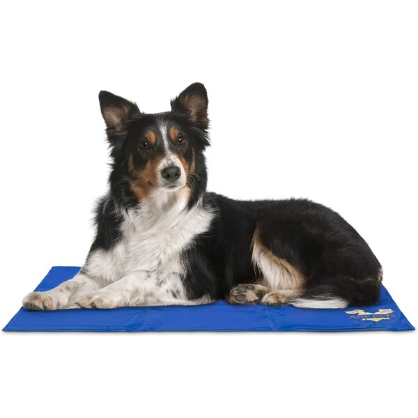 1pc Water-absorbing Pet Feeding Mat - Water-absorbing Dog Mat For Food And  Water Bowls - Stain-free And Easy-to-clean Dog Food Mat - Quick-drying Dog