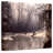 Alvord Forest Swamp-109393536