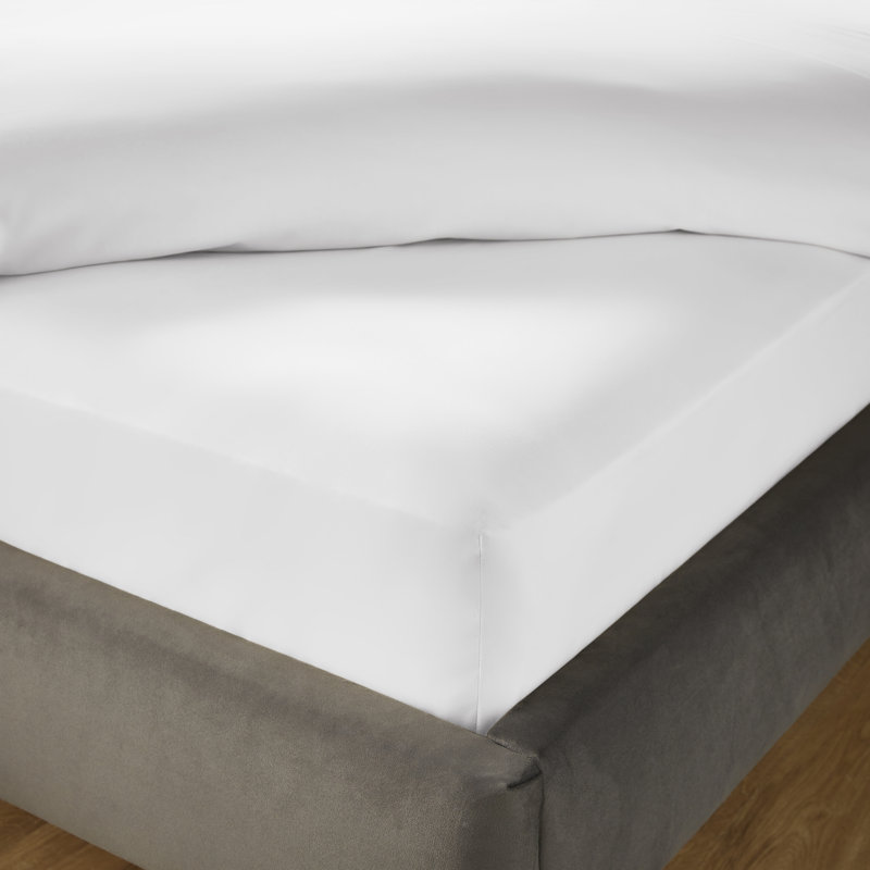 Silentnight Pure Cotton 200 TC Extra Deep Fitted Sheet, Double (4'6), White