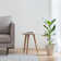 Gennoveva Solid Wood Side Table