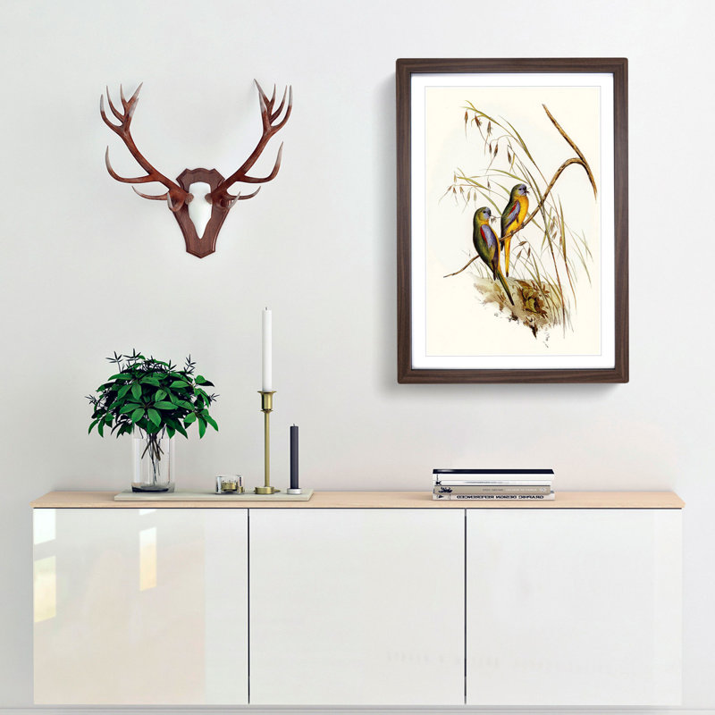 Grass-Parakeets by Elizabeth Gould - Picture Frame Art Print, 36cm H x 27cm W x 2cm D, Walnut Framed