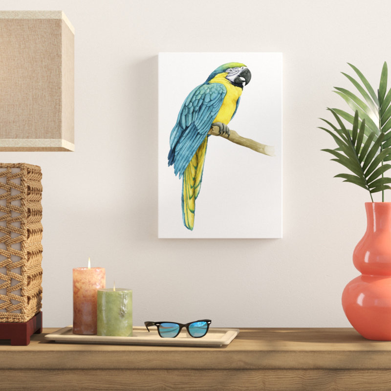 Teal Macaw I - Painting Print, 46cm H x 30cm W, Wrapped Canvas