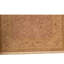 Wool Oriental Area Rug in Cream