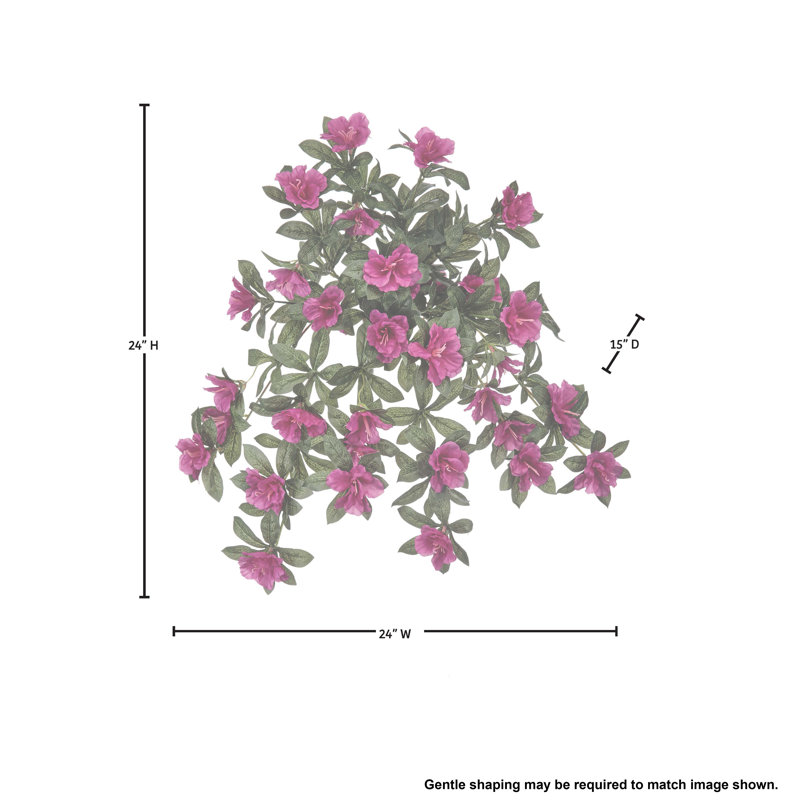 24" Uv Hanging Azalea Plant