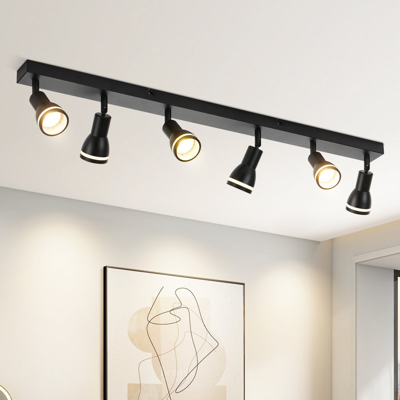 Sigmond Spotlight