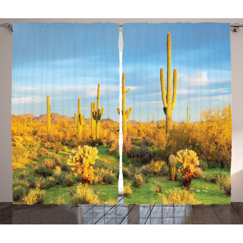 Saguaro Semi-Sheer Rod Pocket Curtain Panels, 54" x 96"