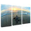 Tortue par Chris Doherty - ensemble de 3 reproductions de photos sur toile-107083943-103283127-103282095
