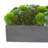Assorted Sedum in Fiberstone Planter-1854464843