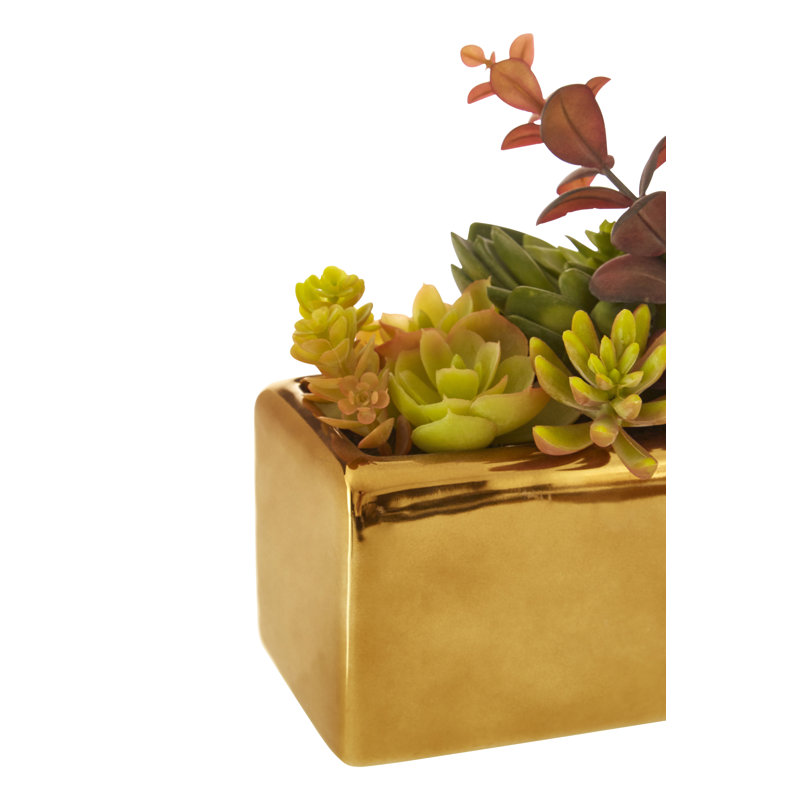 Sprague 24cm Succulent in Cement Planter