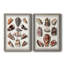 Toile encadrée avec coquillages collectés - prêt à accrocher-533046672-533046673-533082426