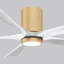 Ventilateur de plafond à 5 pales DEL avec ensemble d'éclairage inclus Irene-264743194-139126705-190528878