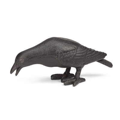 Tête de corbeau