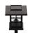 Rutland All - Weather Lantern Design Solar Powered LED Landscape Lights-101071723