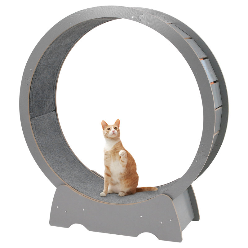 Denora 45'' Large Cat Running Wheel Treadmill, Gray