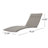 Blaise Outdoor Chaise Lounge Set , Cushion Included-2067359491
