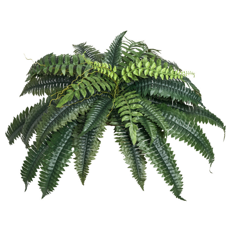 Faux Fern Plant, 30cm x 100cm
