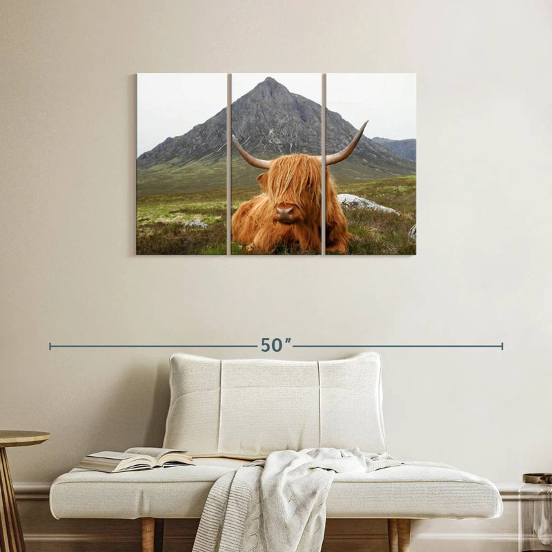 Vache sereine Brampt Highland, H 24 po x l 38 po