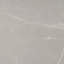 Grand carreau de mur et de plancher en porcelaine mate d'aspect marbre gris cendré 24 po x 48 po Regalia (paquet de 2 de 15,5 pieds carrés / caisse)-123158997