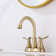 Centerset 2-handle Bathroom Faucet with Drain Assembly